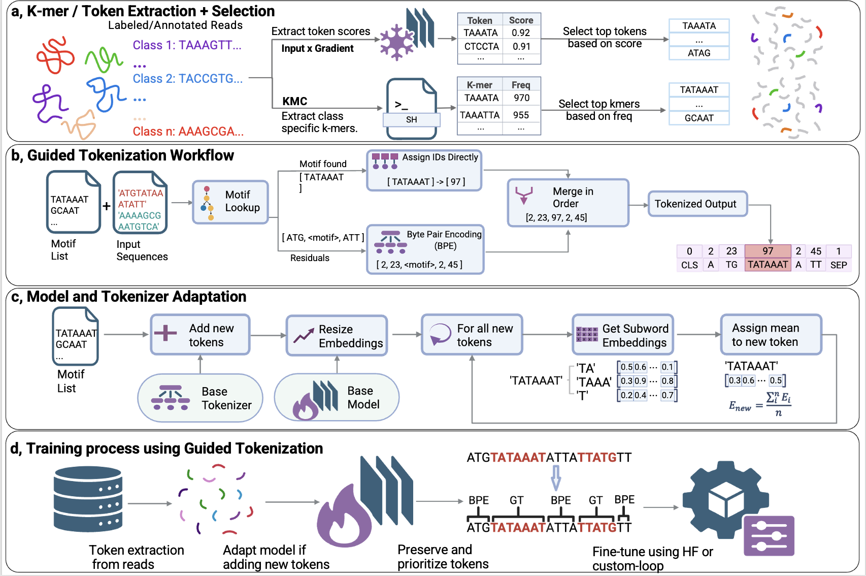 Guided Tokenization