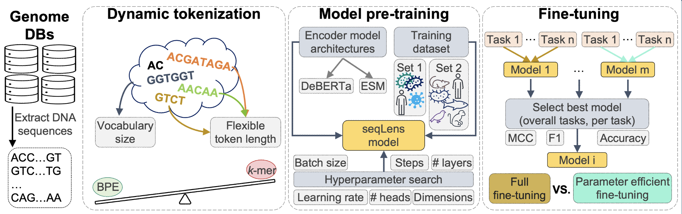 seqLens